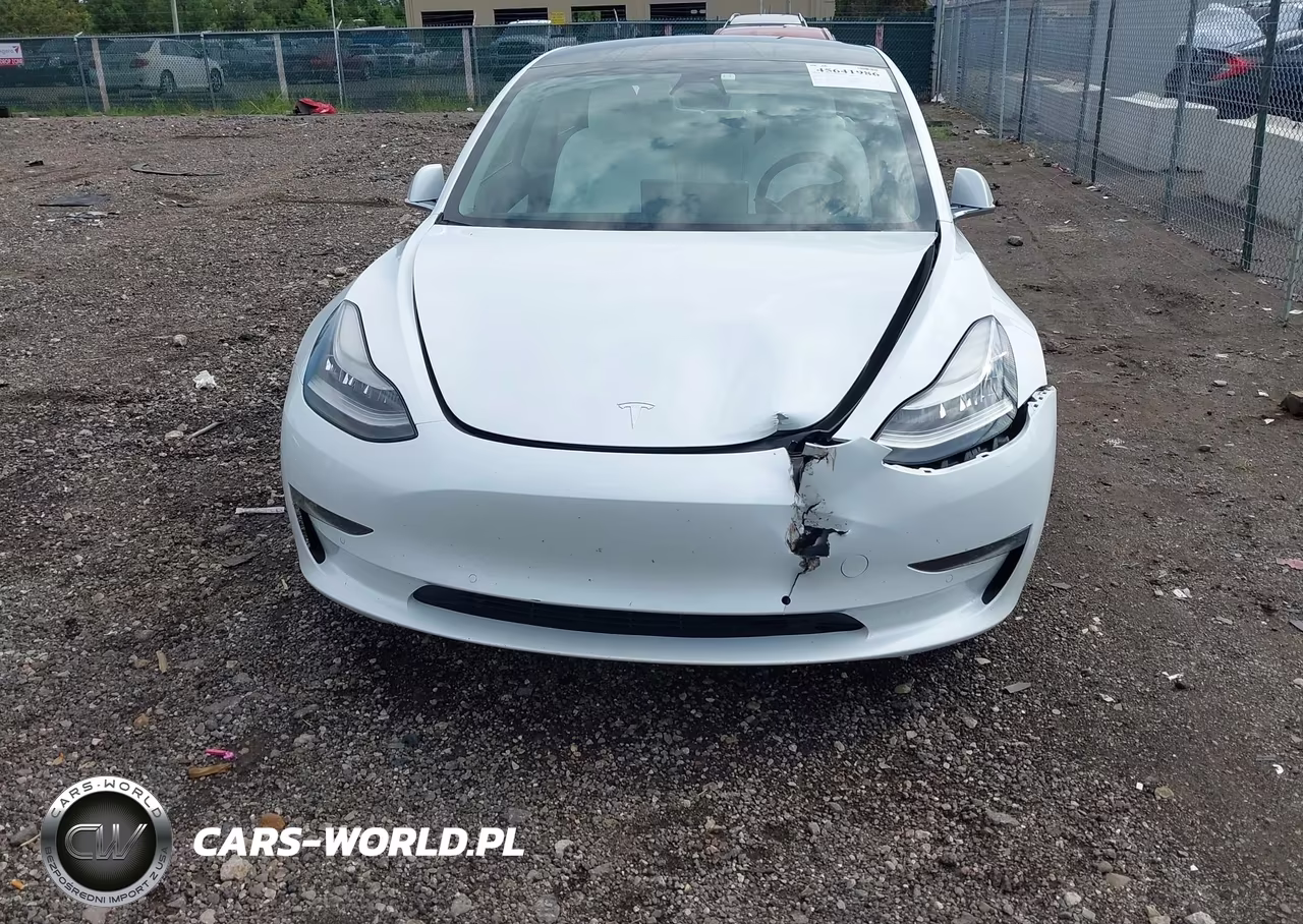 2019 Tesla Model 3 Long Range-Mid Range-Standard Range-Standard Range Plus VIN:5YJ3E1EA1KF486618 - 6