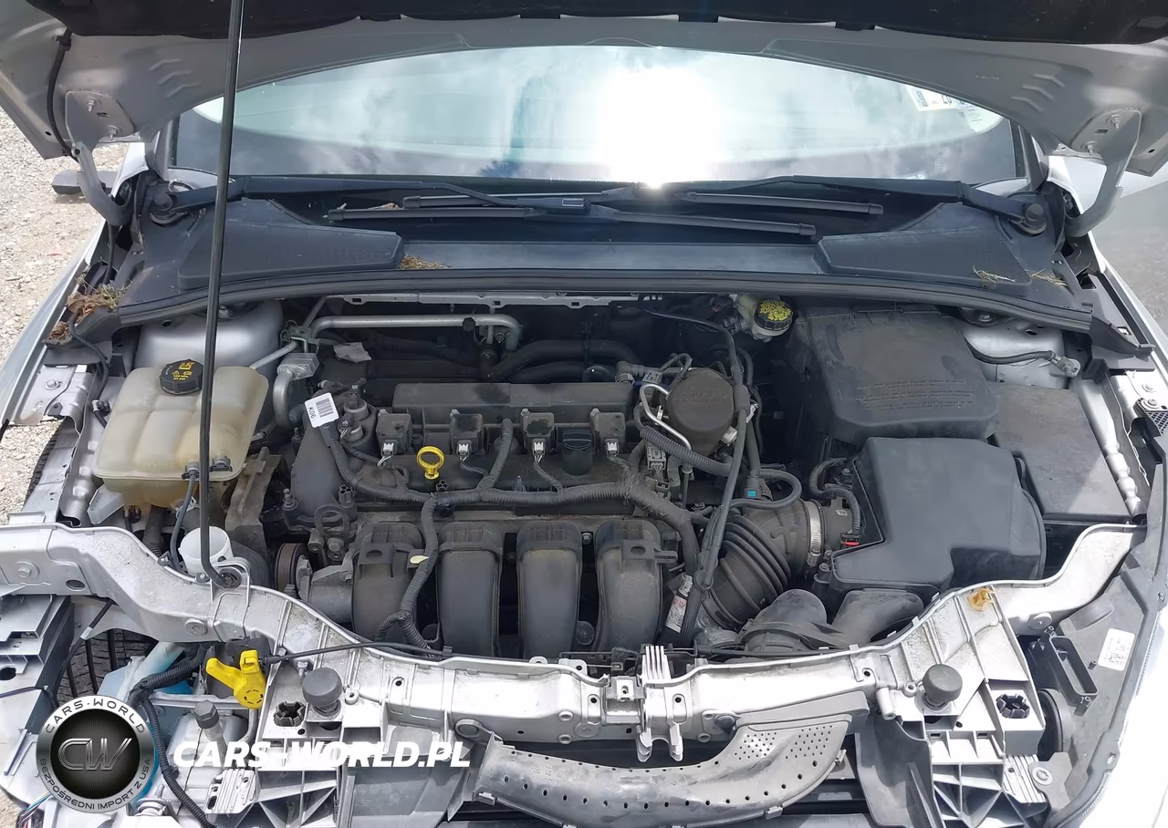 2015 Ford Focus Se VIN:1FADP3F2XFL289649 - 10