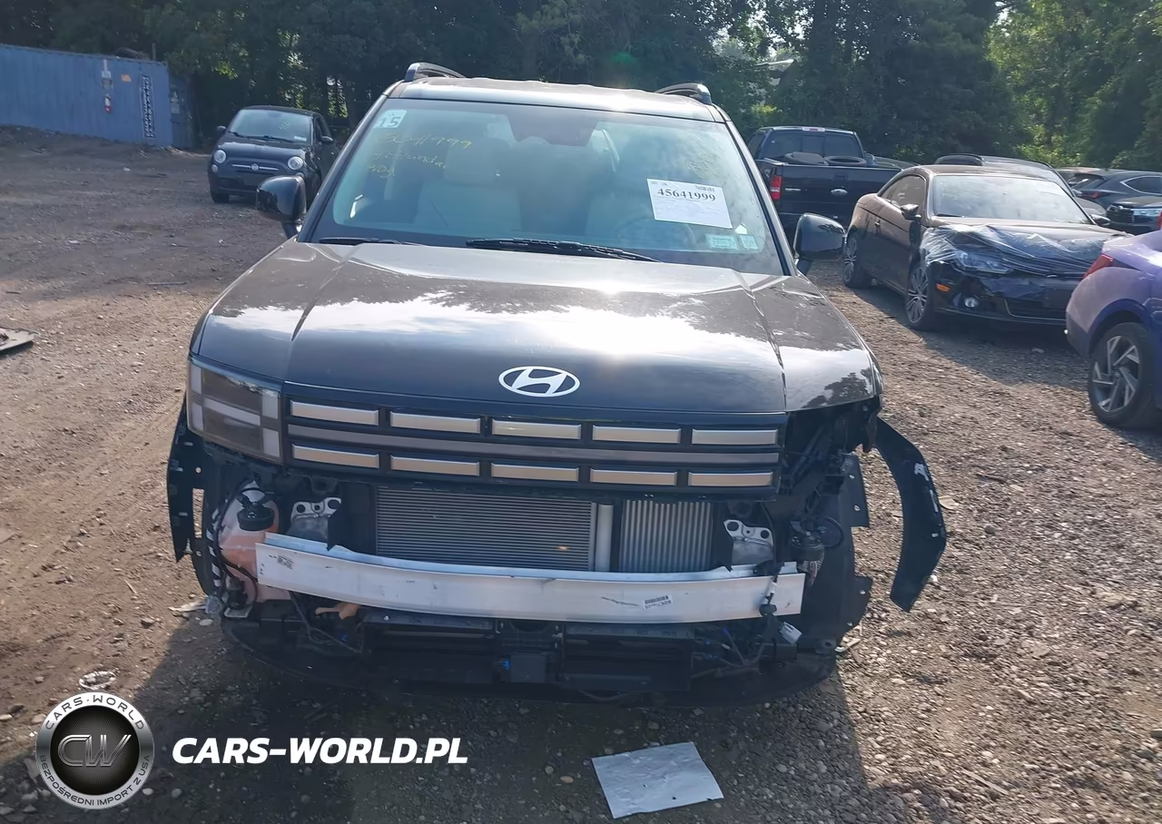 2024 Hyundai Santa Fe Sel VIN:5NMP2DGL3RH064241 - 12