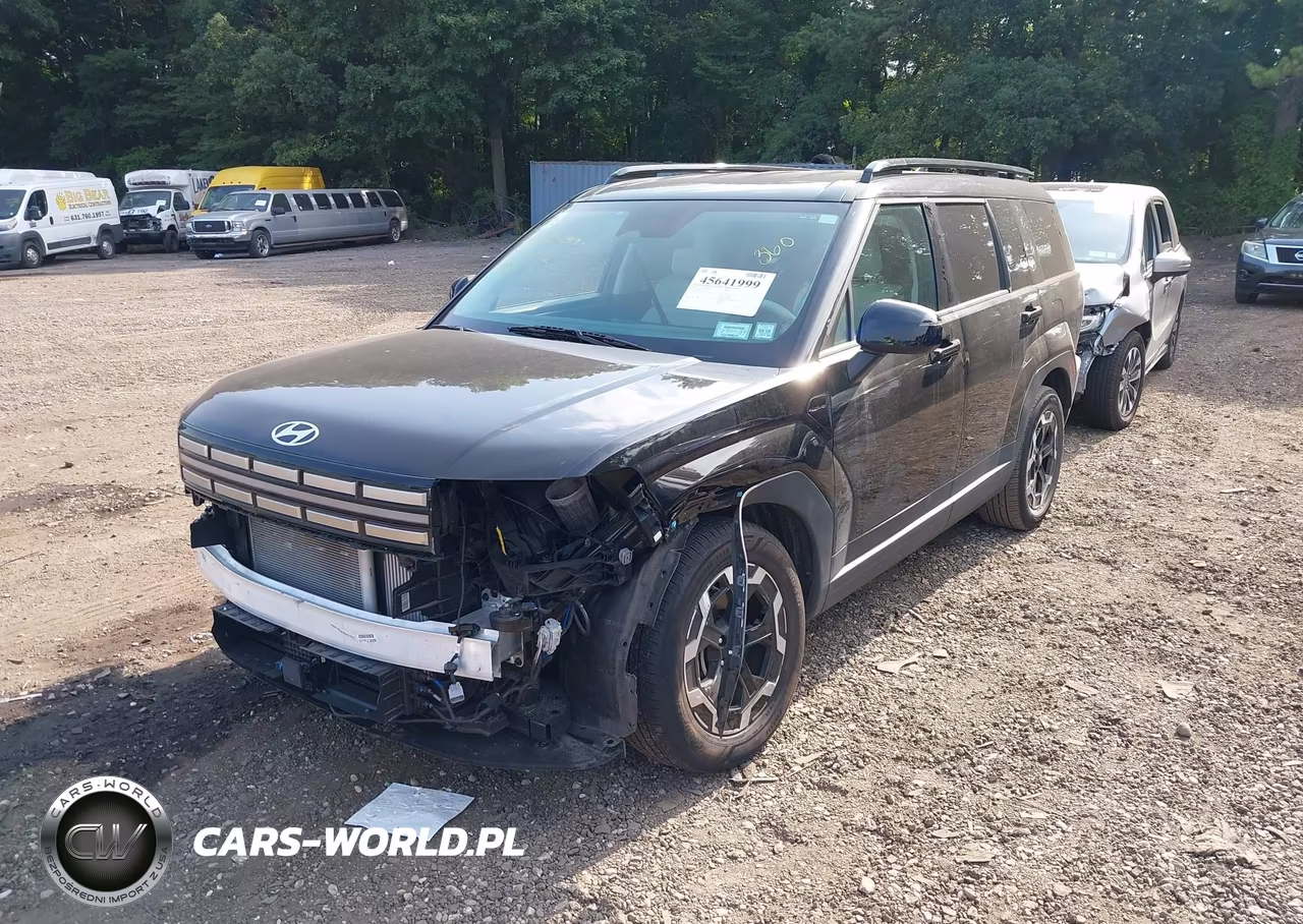 2024 Hyundai Santa Fe Sel VIN:5NMP2DGL3RH064241 - 2