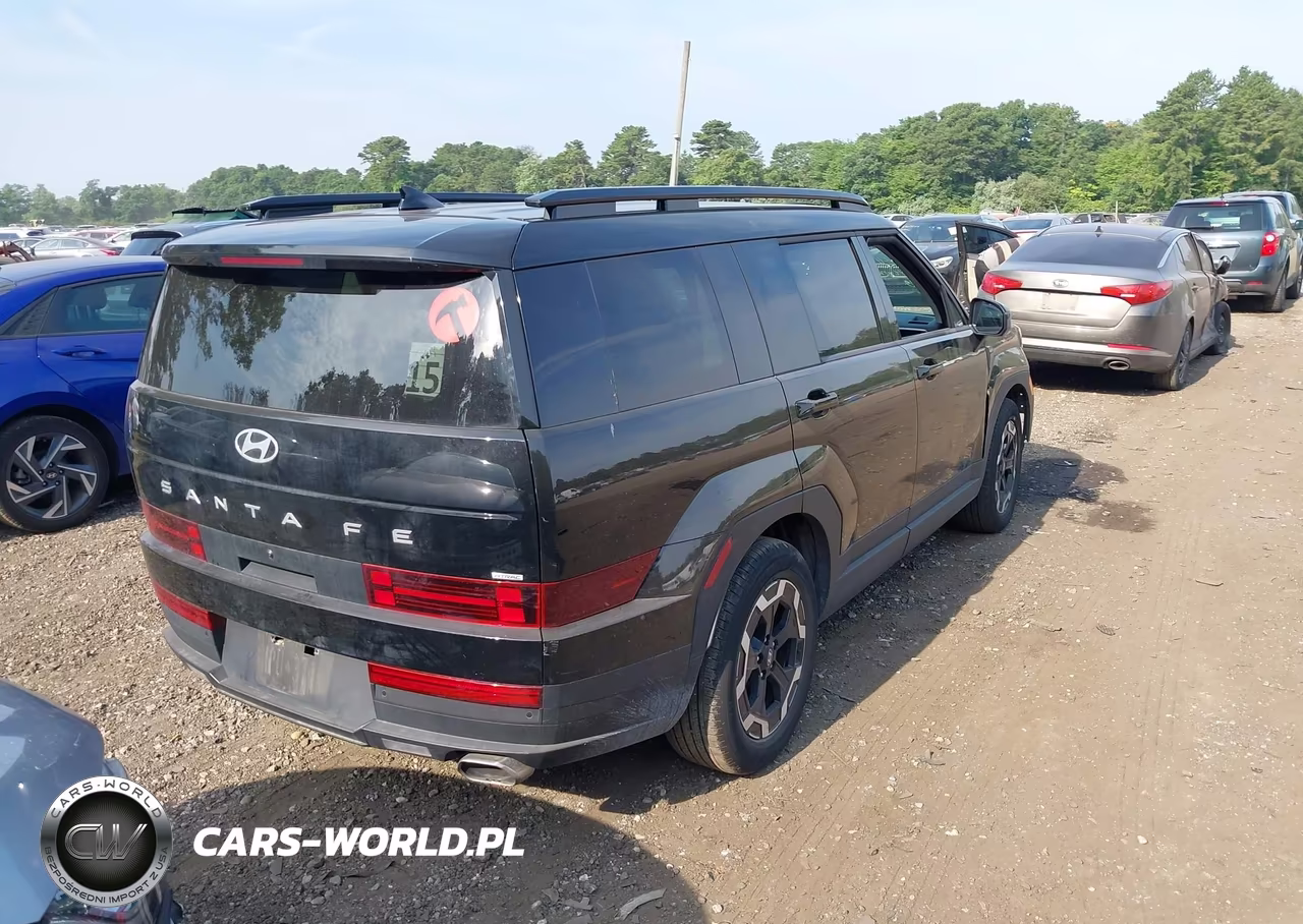 2024 Hyundai Santa Fe Sel VIN:5NMP2DGL3RH064241 - 4