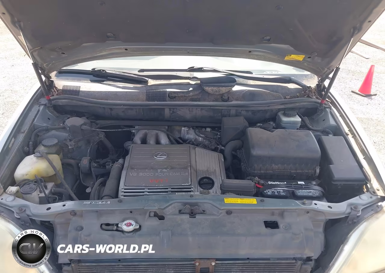 2002 Lexus Rx 300 VIN:JTJGF10U820147849 - 10