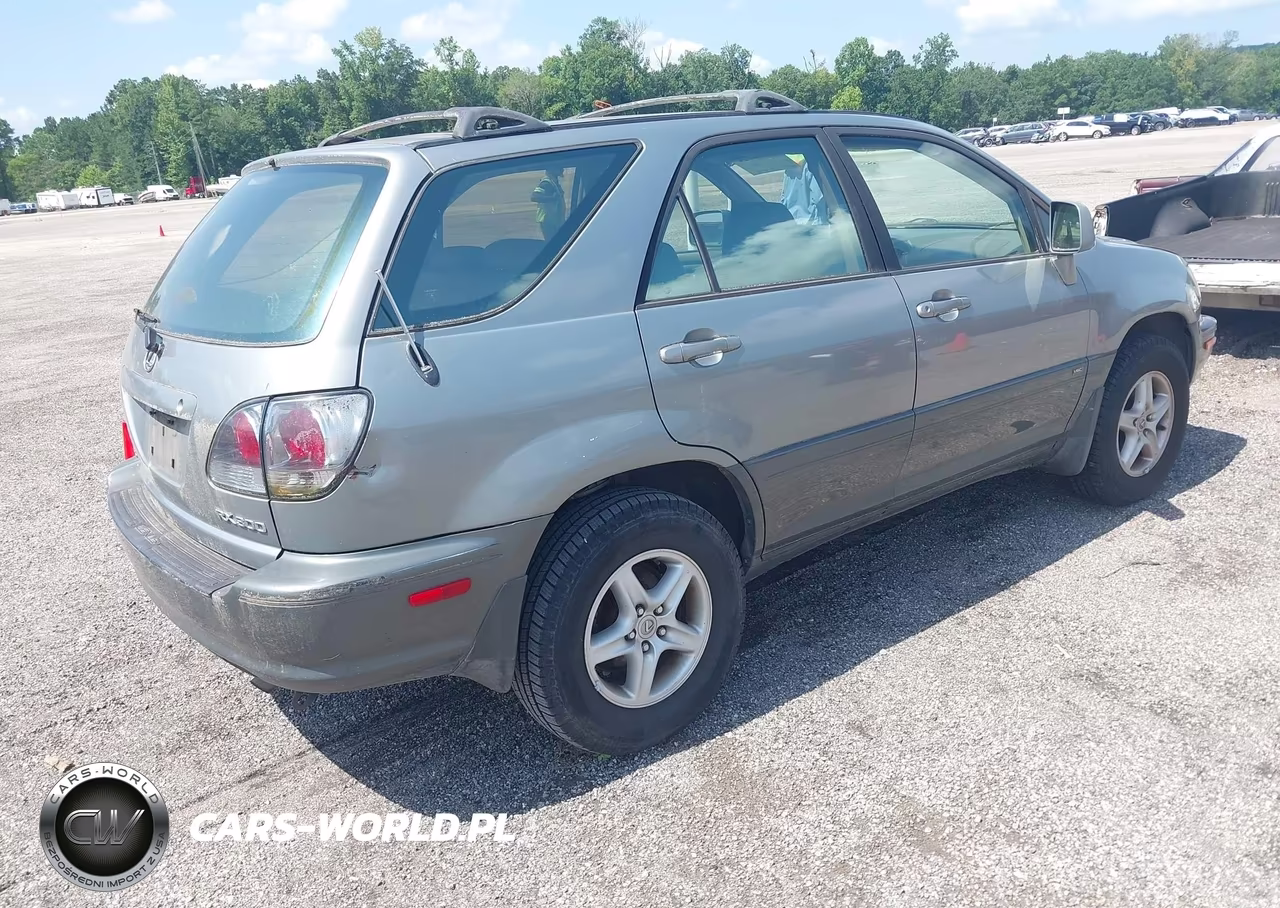 2002 Lexus Rx 300 VIN:JTJGF10U820147849 - 4