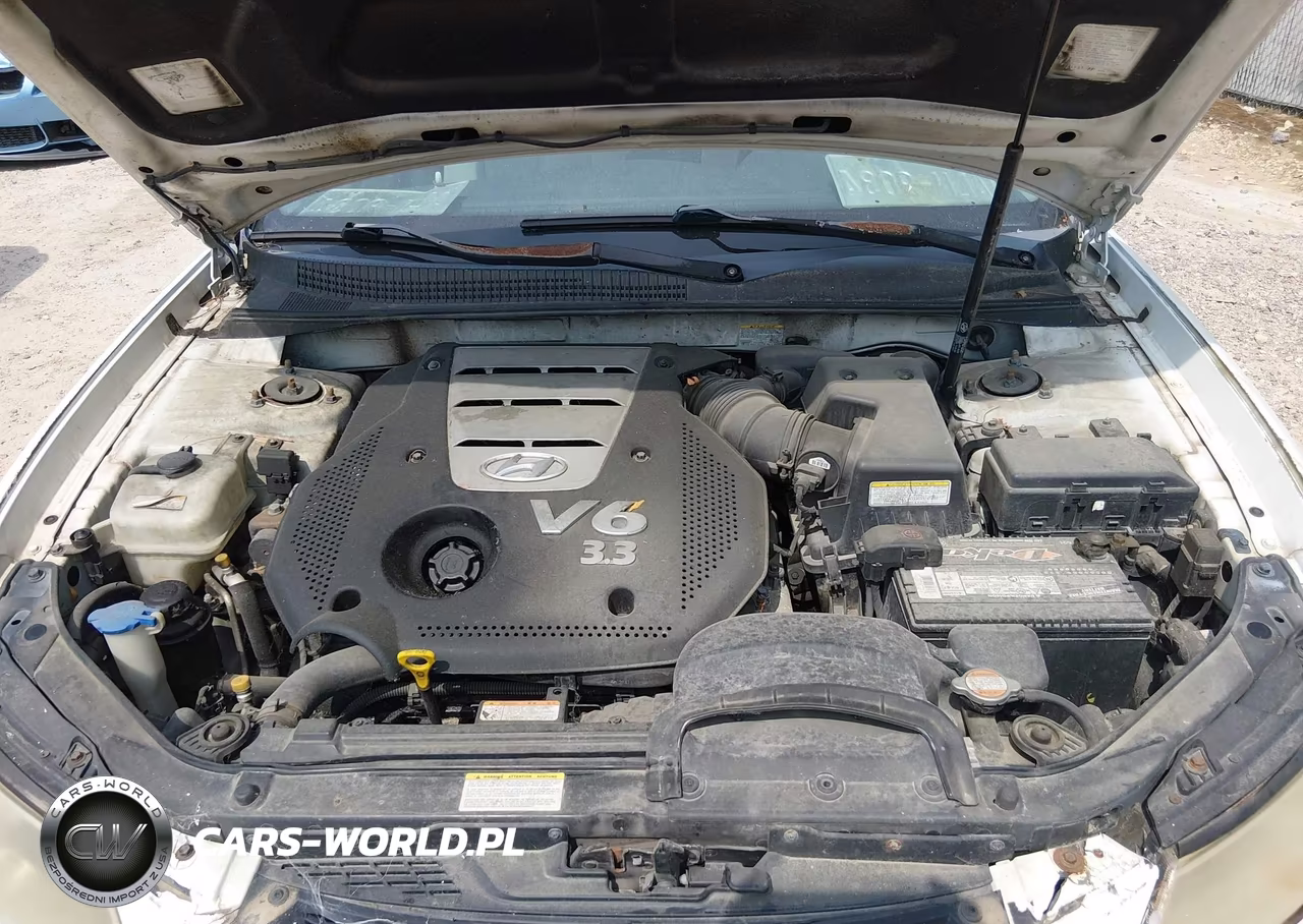 2006 Hyundai Sonata Gls V6-Lx V6 VIN:5NPEU46FX6H077273 - 10