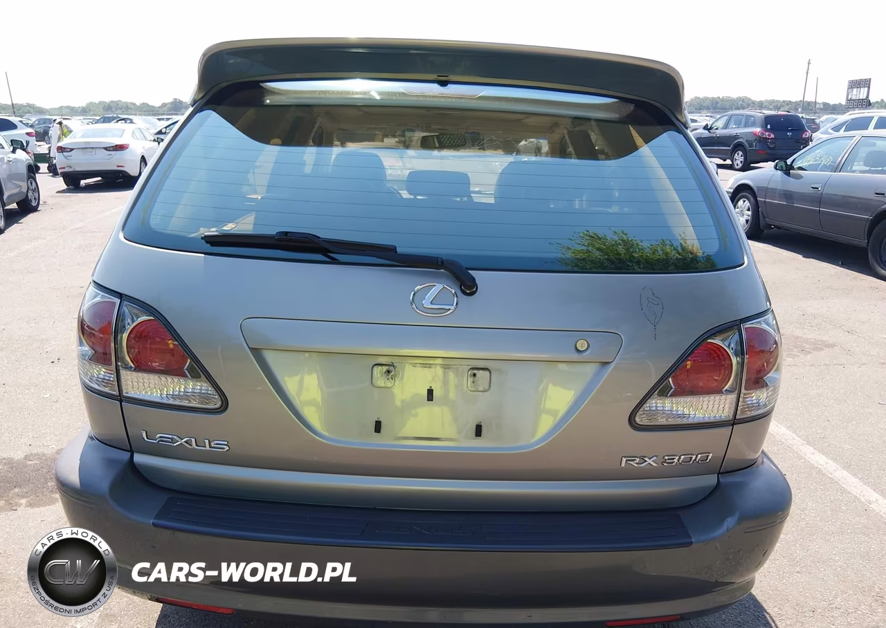 2002 Lexus Rx 300 VIN:JTJHF10U320236622 - 16