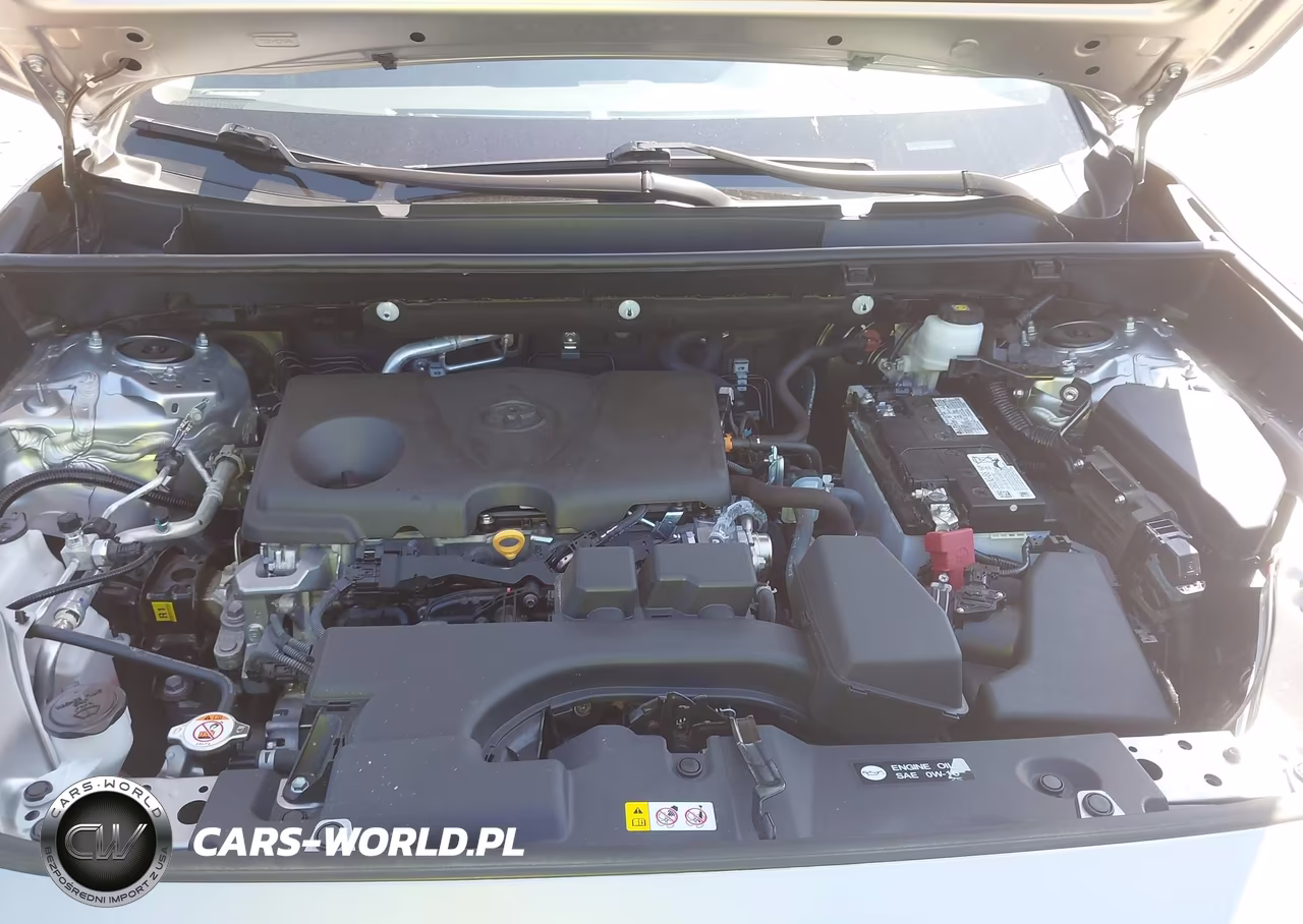 2025 Toyota Rav4 Xle VIN:2T3W1RFV7SC337313 - 10