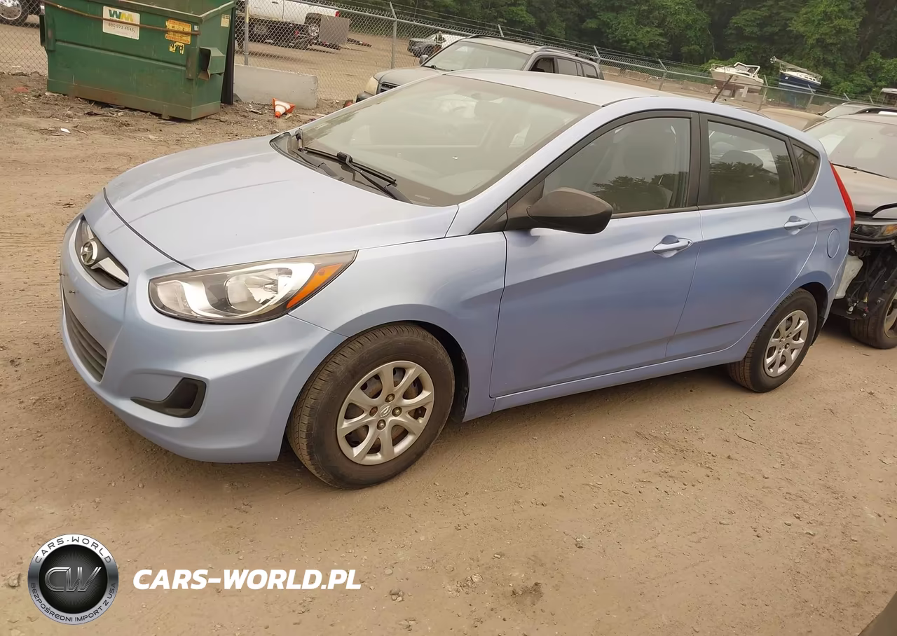 2013 Hyundai Accent Gs VIN:KMHCT5AE4DU064869 - 2