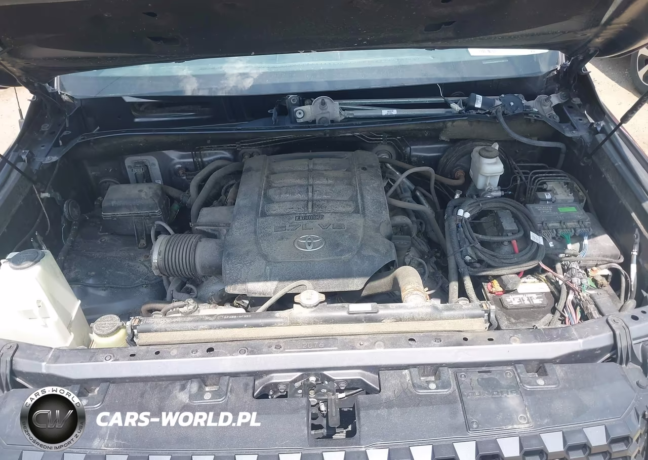 2019 Toyota Tundra Platinum 5.7L V8 VIN:5TFAY5F1XKX843210 - 10