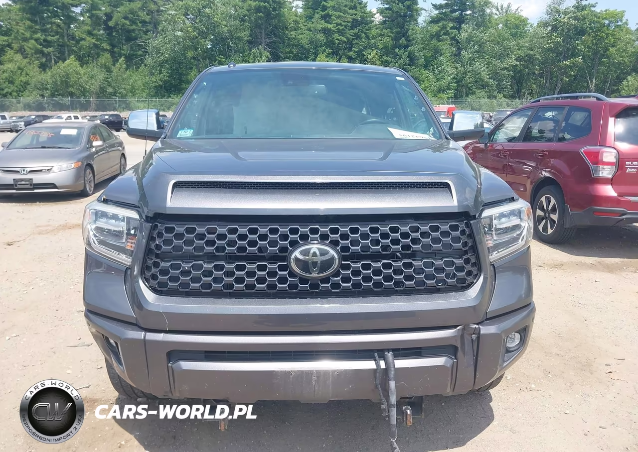 2019 Toyota Tundra Platinum 5.7L V8 VIN:5TFAY5F1XKX843210 - 13