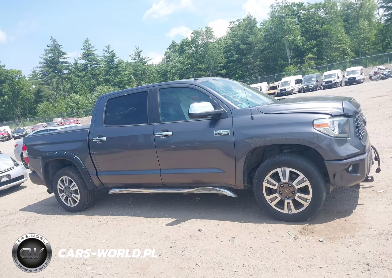 2019 Toyota Tundra Platinum 5.7L V8 VIN:5TFAY5F1XKX843210 - 14