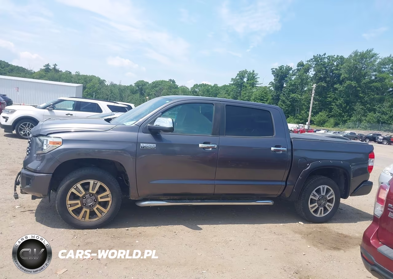 2019 Toyota Tundra Platinum 5.7L V8 VIN:5TFAY5F1XKX843210 - 15