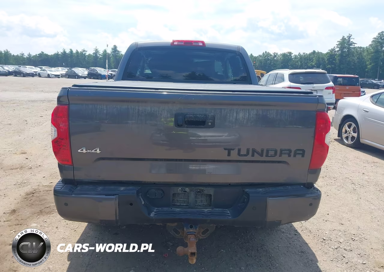 2019 Toyota Tundra Platinum 5.7L V8 VIN:5TFAY5F1XKX843210 - 17
