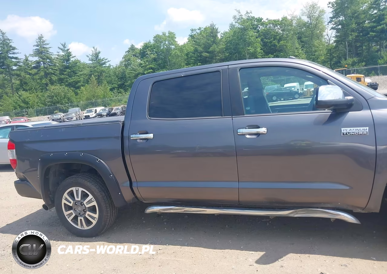 2019 Toyota Tundra Platinum 5.7L V8 VIN:5TFAY5F1XKX843210 - 19