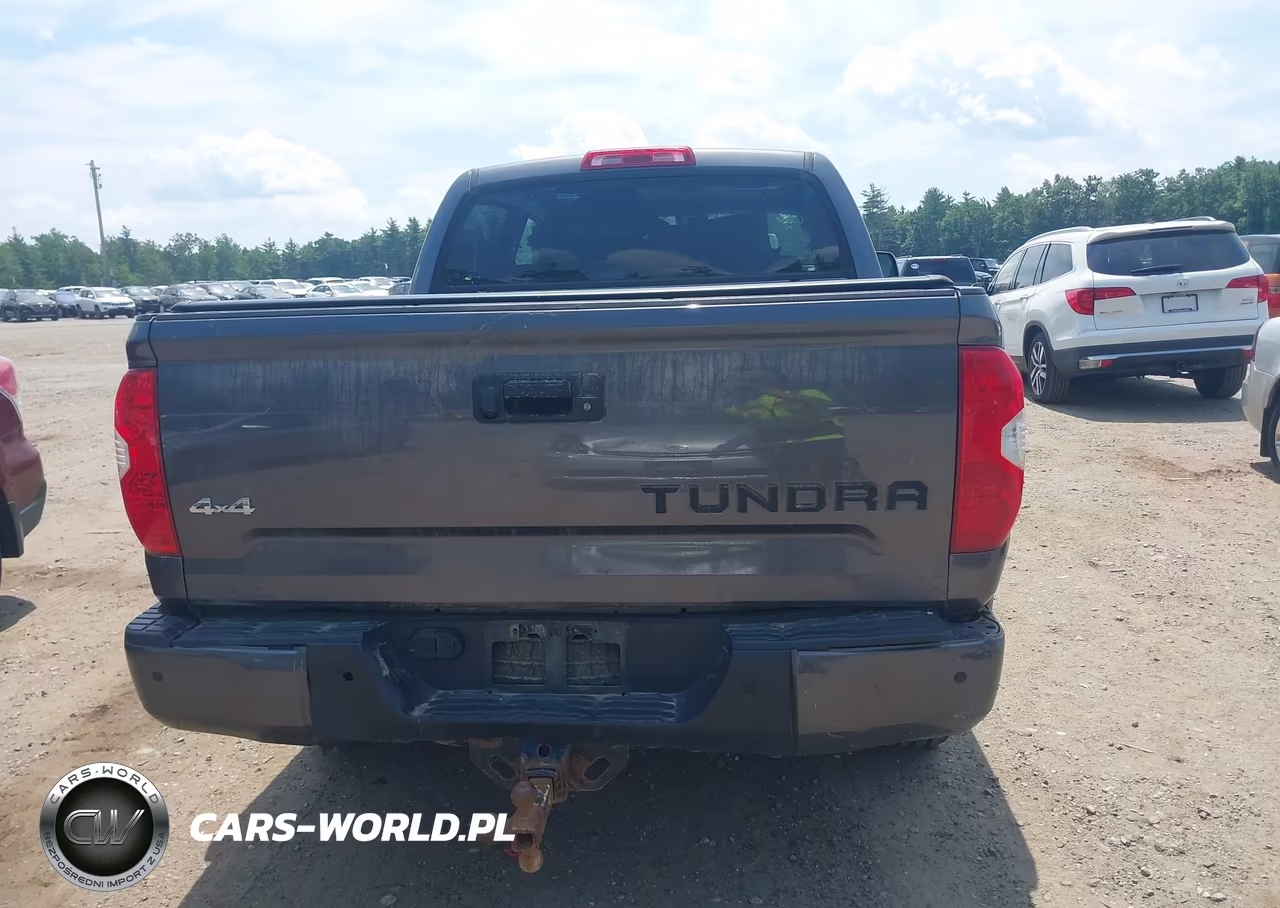 2019 Toyota Tundra Platinum 5.7L V8 VIN:5TFAY5F1XKX843210 - 20