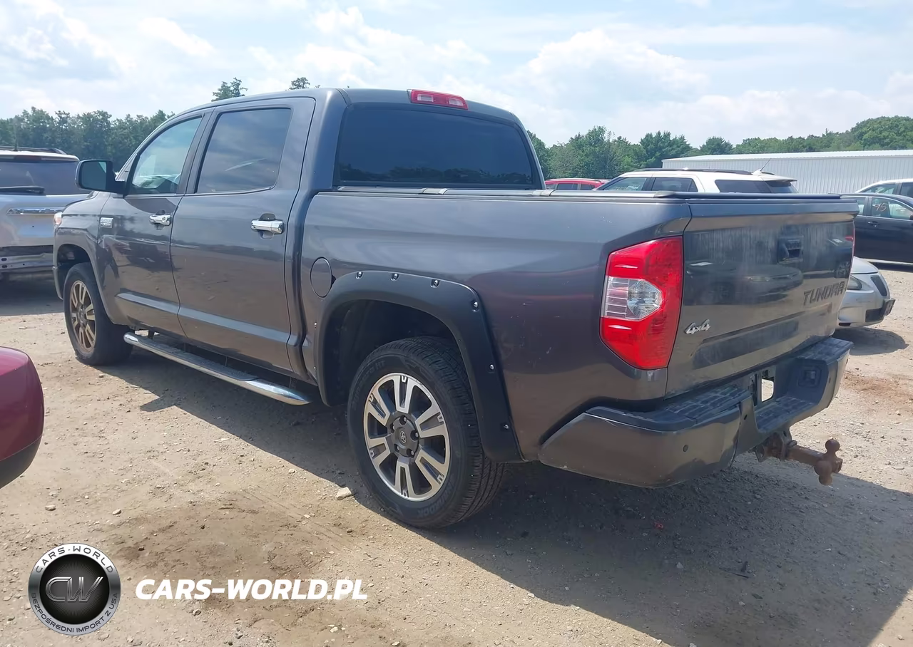 2019 Toyota Tundra Platinum 5.7L V8 VIN:5TFAY5F1XKX843210 - 3
