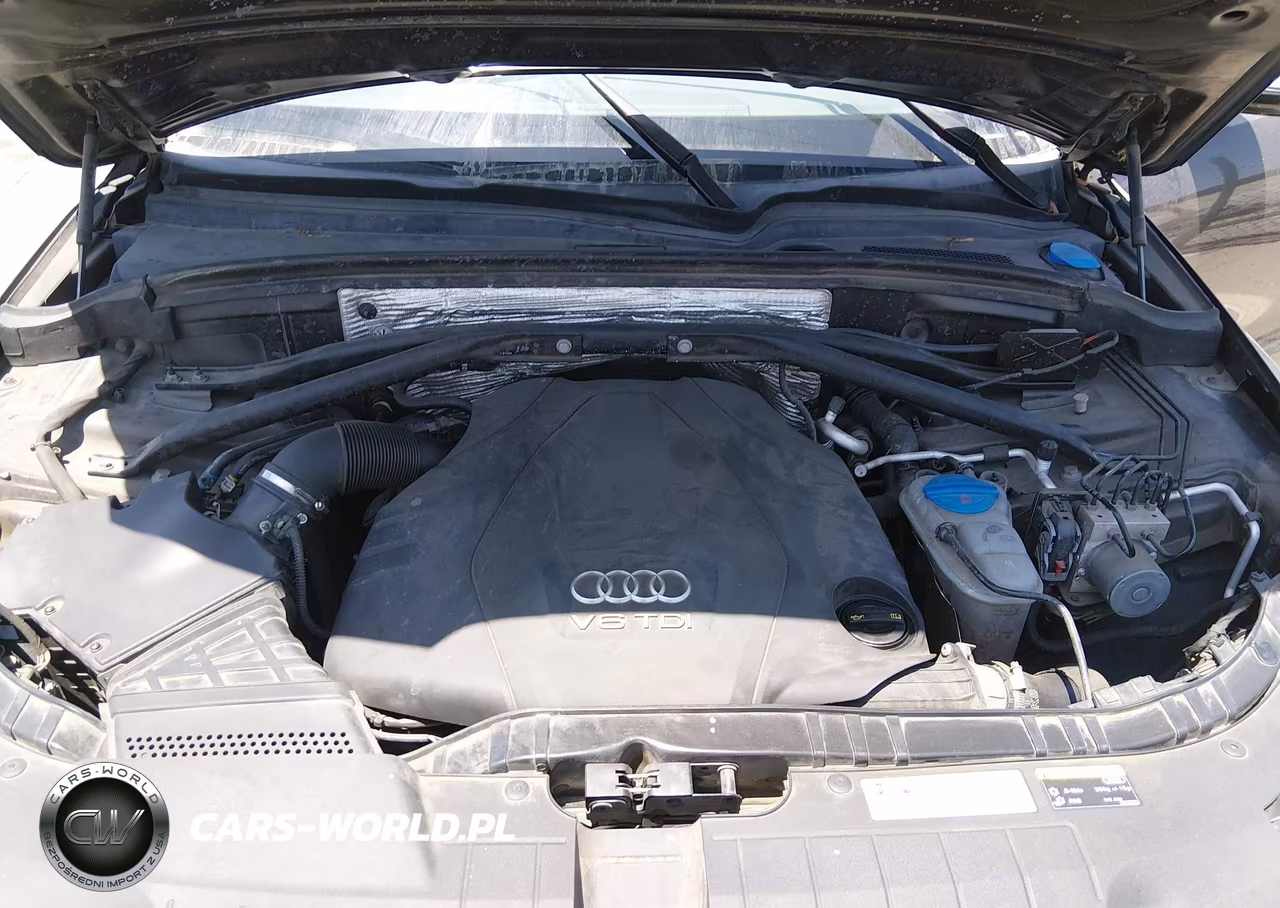 2016 Audi Q5 3.0 Tdi Premium Plus VIN:WA1CVAFPXGA033773 - 10