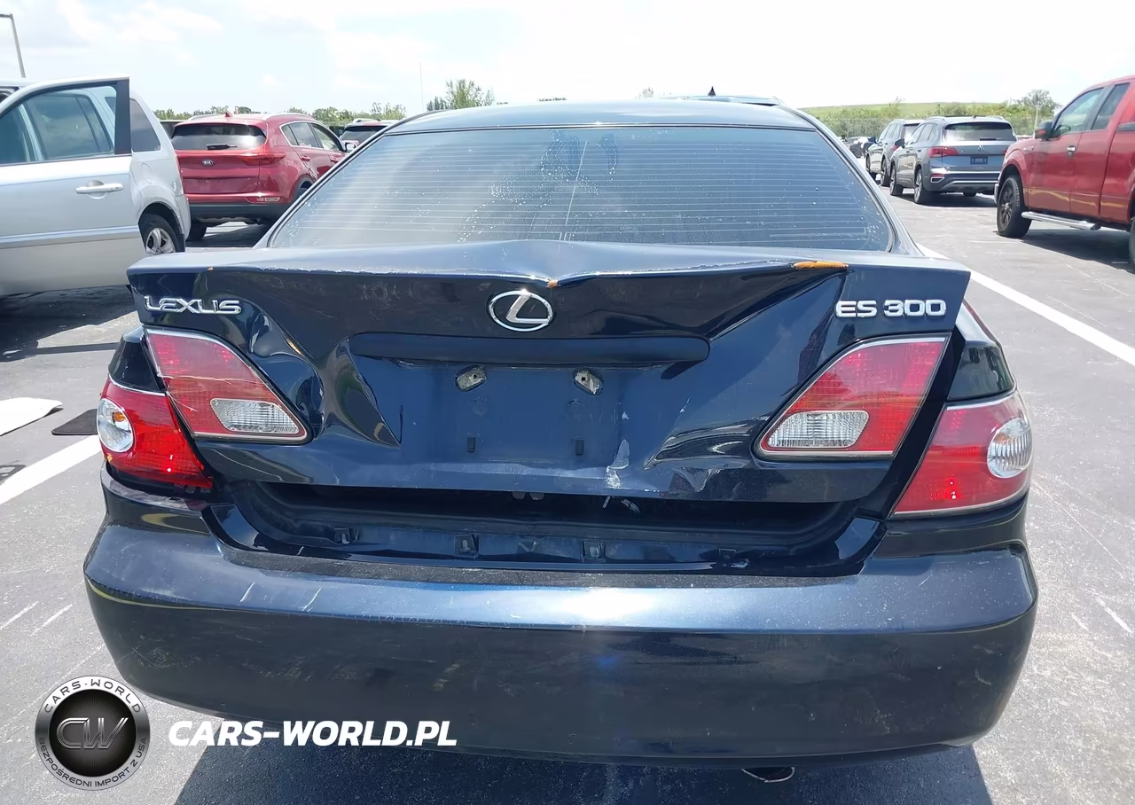 2003 Lexus Es 300 VIN:JTHBF30G336009622 - 16