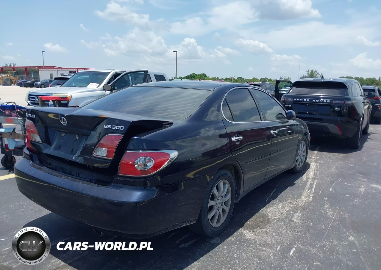 2003 Lexus Es 300 VIN:JTHBF30G336009622 - 4