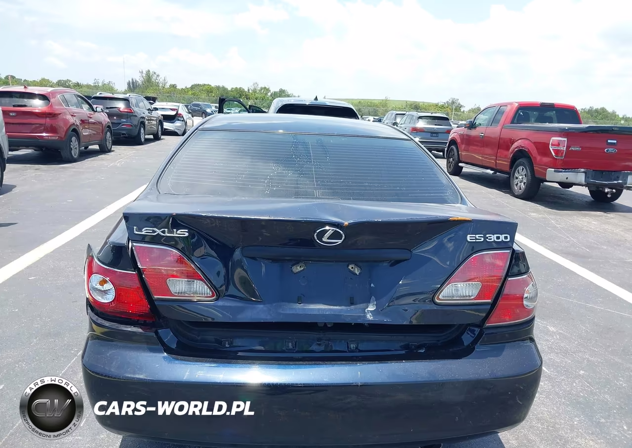 2003 Lexus Es 300 VIN:JTHBF30G336009622 - 6