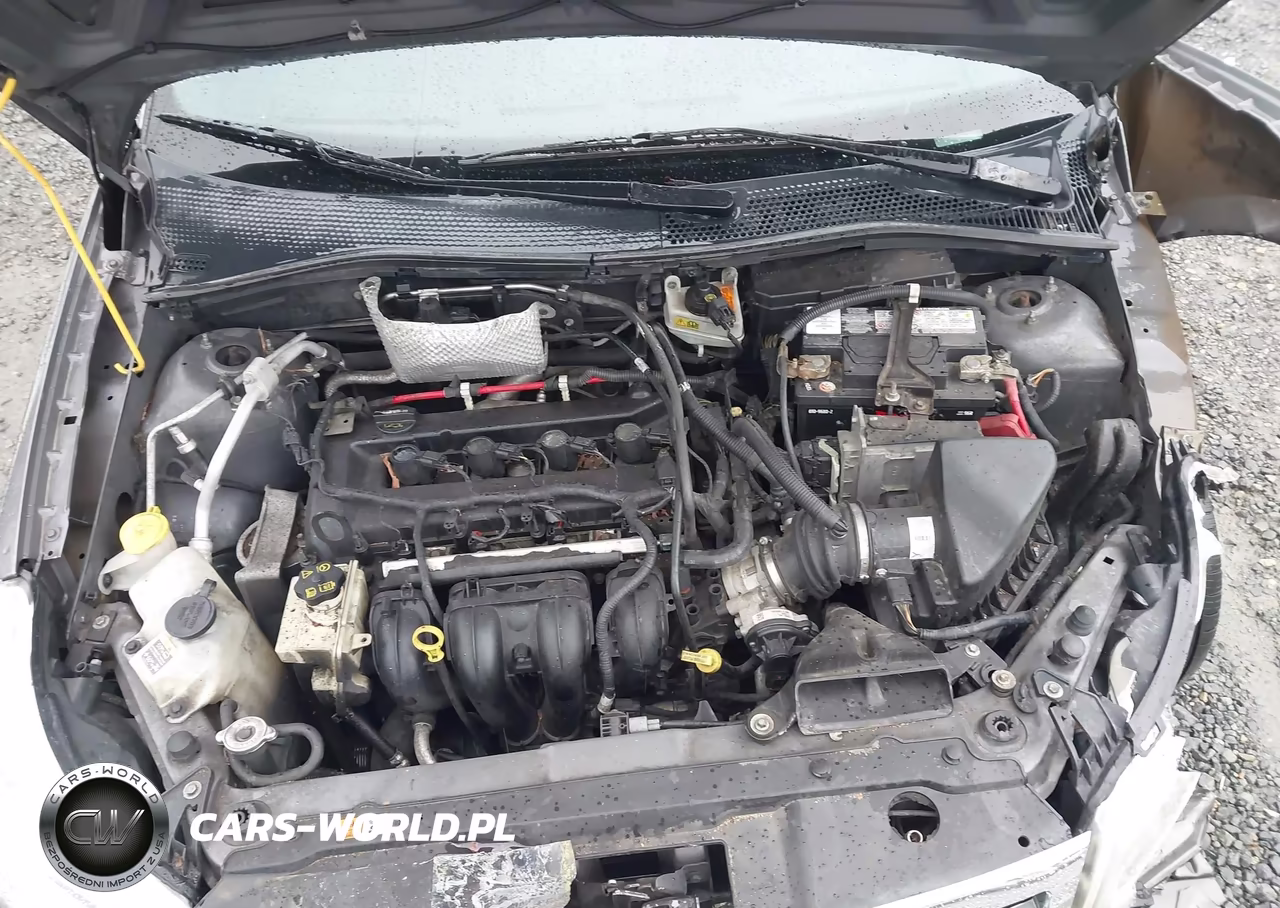 2010 Ford Focus Sel VIN:1FAHP3HN0AW207976 - 10