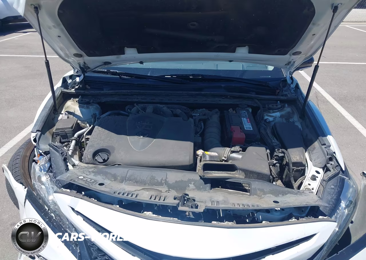 2019 Toyota Camry Xse V6 VIN:4T1BZ1HK2KU031476 - 10