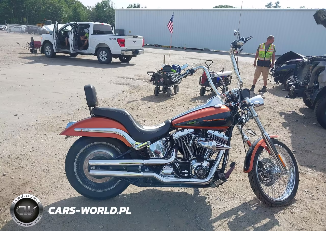 2006 Harley-Davidson Fxstdi VIN:1HD1JBB186Y067229 - 12