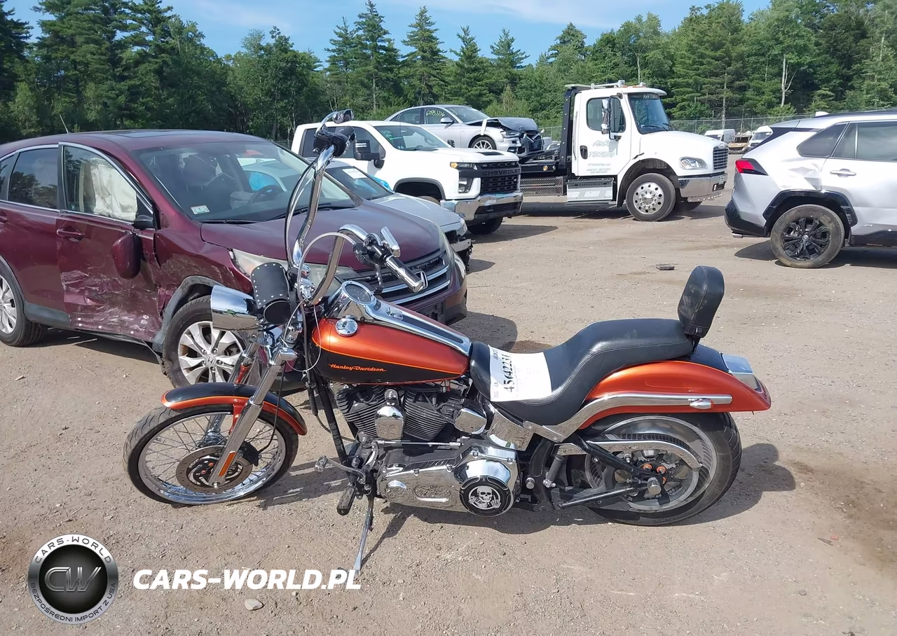 2006 Harley-Davidson Fxstdi VIN:1HD1JBB186Y067229 - 13