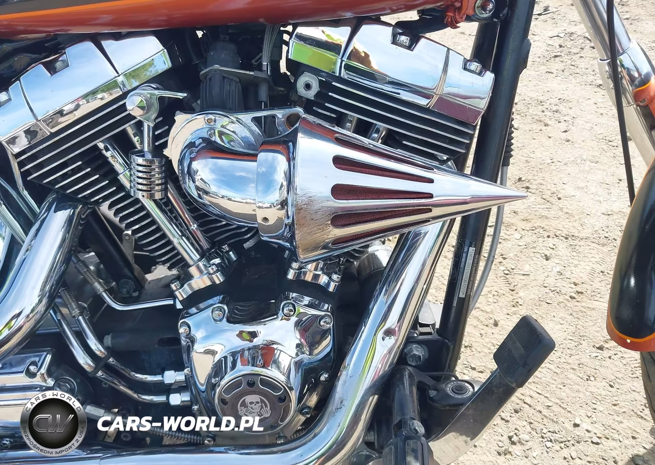2006 Harley-Davidson Fxstdi VIN:1HD1JBB186Y067229 - 14