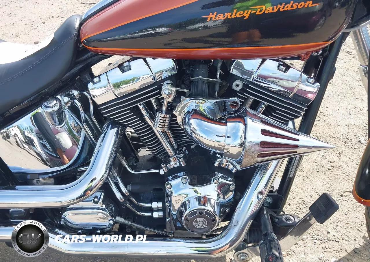 2006 Harley-Davidson Fxstdi VIN:1HD1JBB186Y067229 - 8