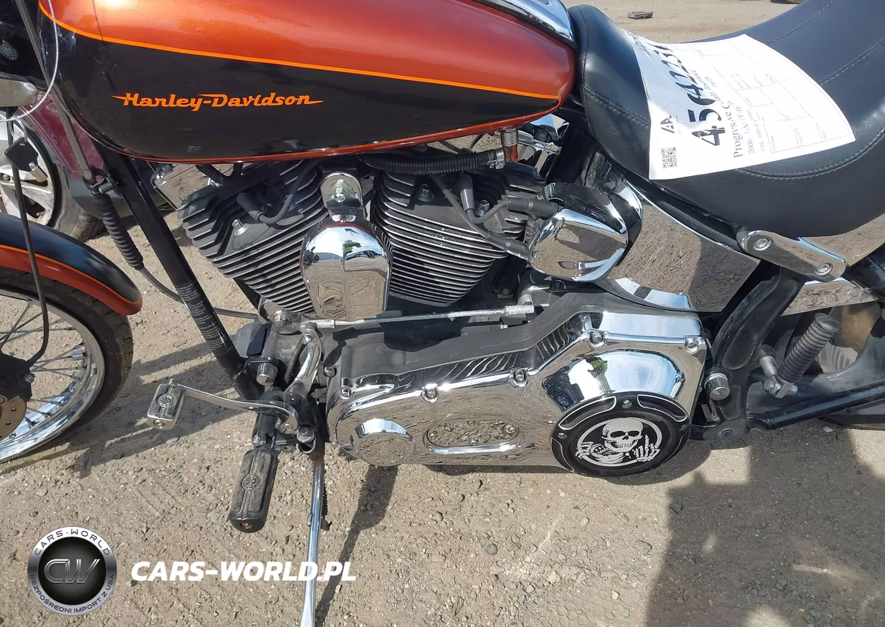 2006 Harley-Davidson Fxstdi VIN:1HD1JBB186Y067229 - 9