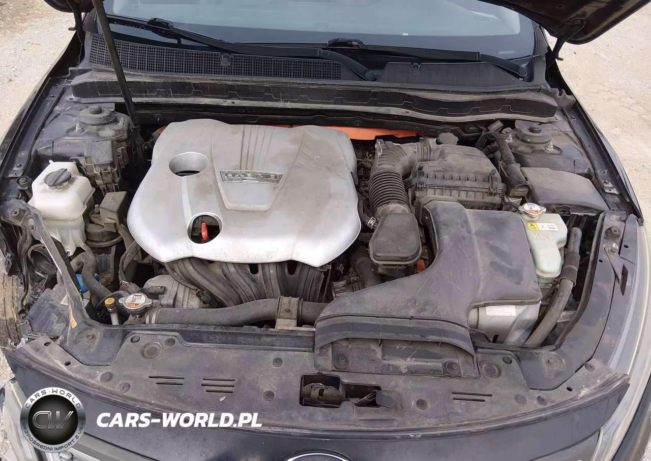 KIA OPTIMA HYBRID VIN:KNAGM4AD8F5086596 - 10