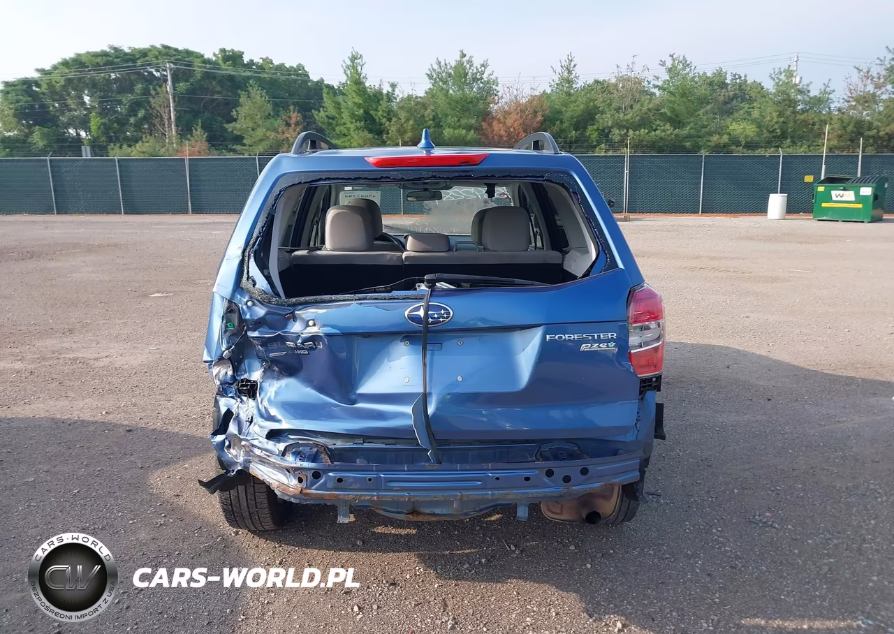 2016 Subaru Forester 2.5I Premium VIN:JF2SJADC6GH459238 - 17