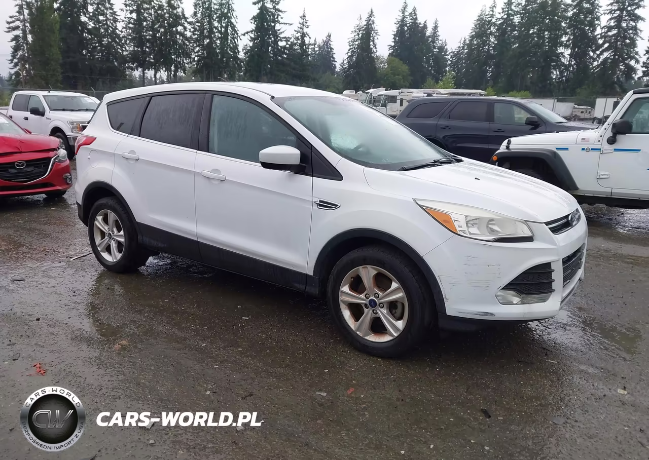 2014 Ford Escape Se VIN:1FMCU0GX2EUC73179 - 1