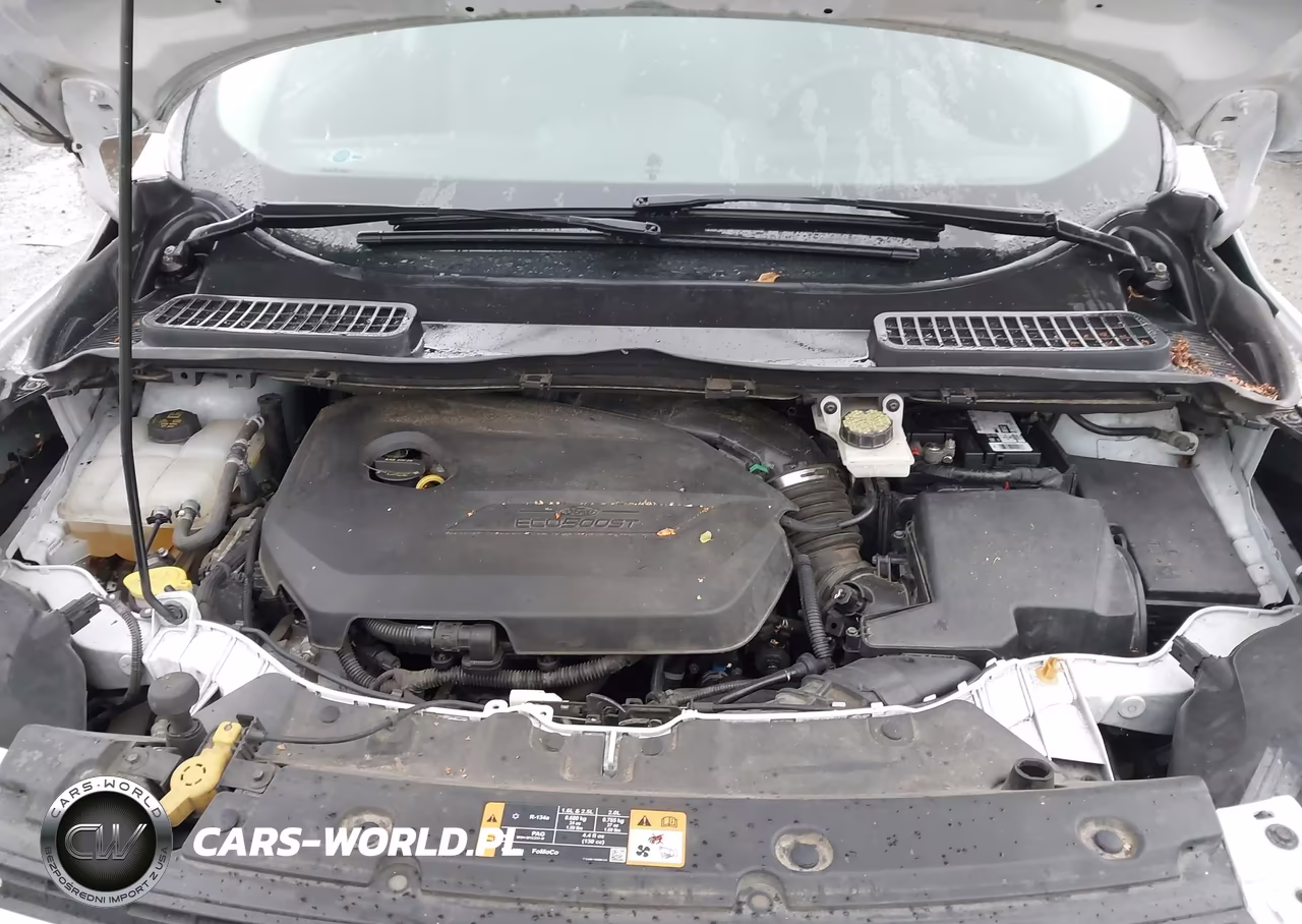 2014 Ford Escape Se VIN:1FMCU0GX2EUC73179 - 10