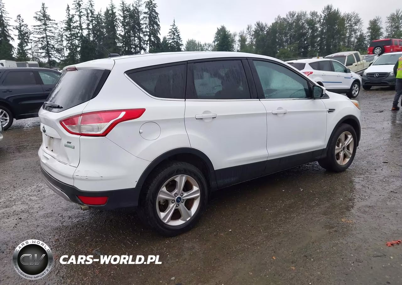 2014 Ford Escape Se VIN:1FMCU0GX2EUC73179 - 4