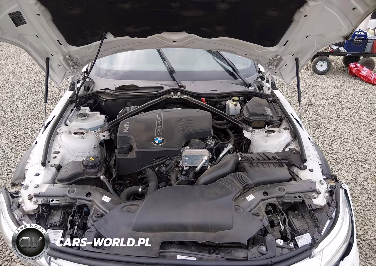 2016 BMW Z4 Sdrive28I VIN:WBALL5C51G5A20280 - 10