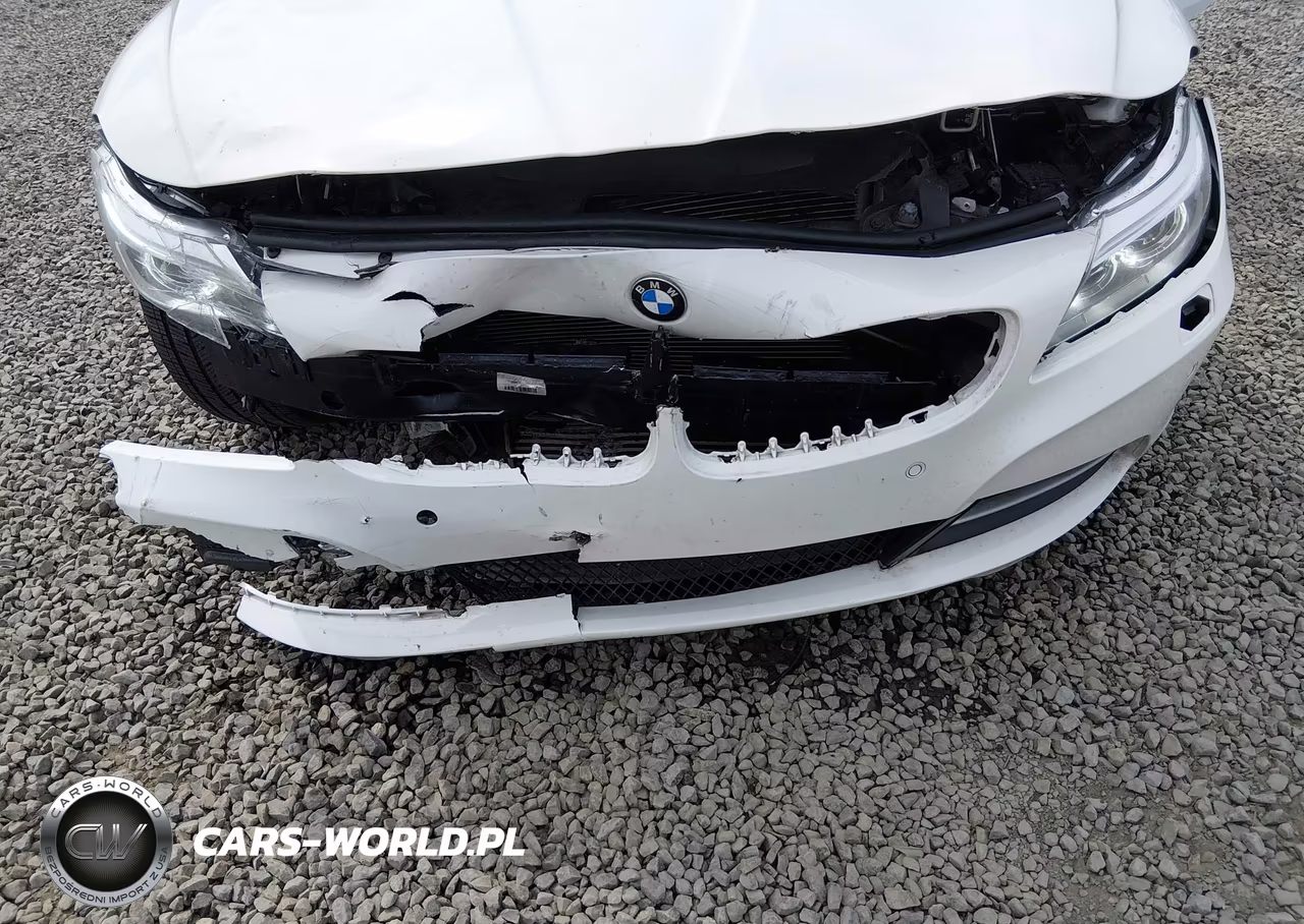 2016 BMW Z4 Sdrive28I VIN:WBALL5C51G5A20280 - 6