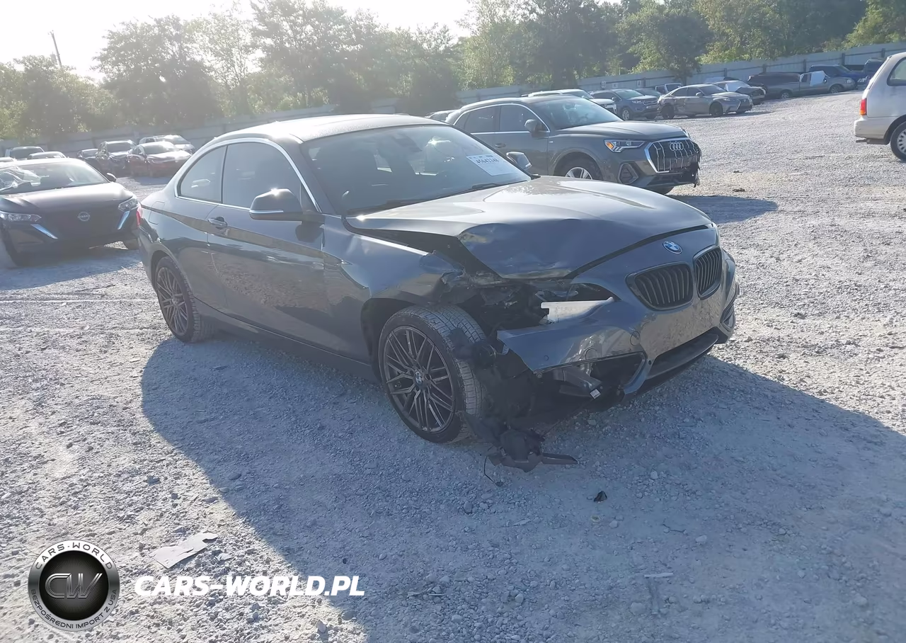 2020 BMW 230I xDrive