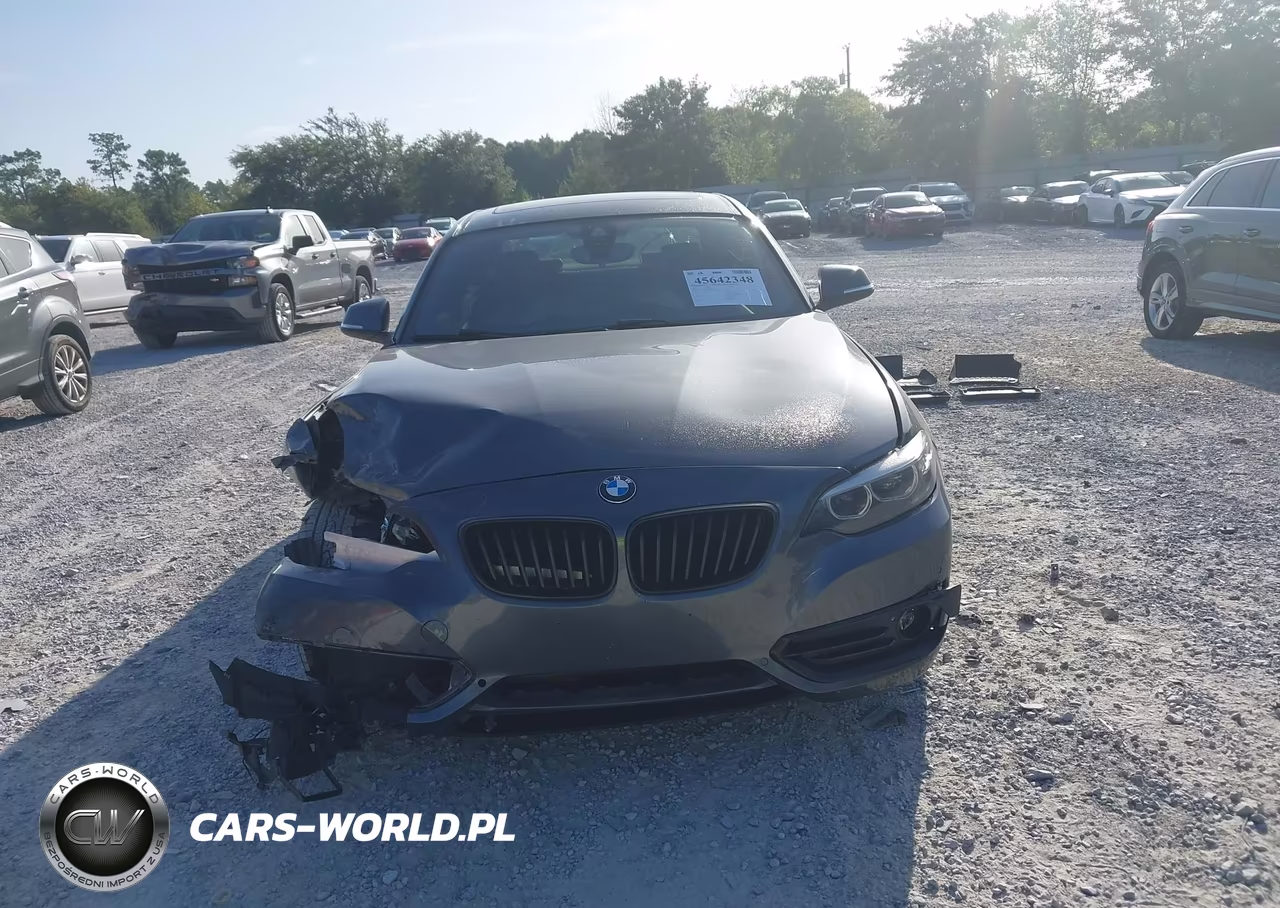 2020 BMW 230I xDrive VIN:WBA2J3C06L7D95526 - 12
