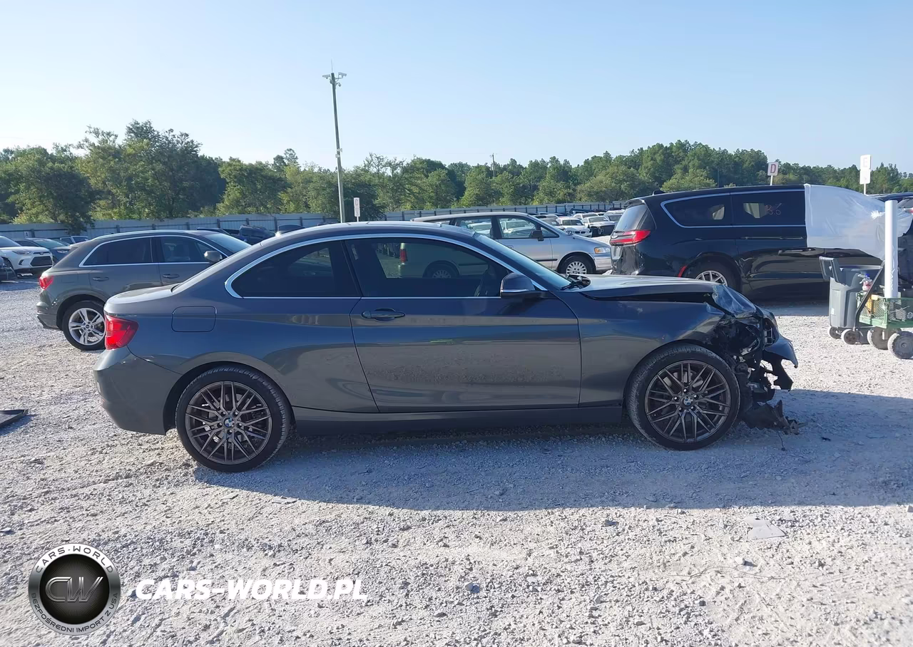 2020 BMW 230I xDrive VIN:WBA2J3C06L7D95526 - 13