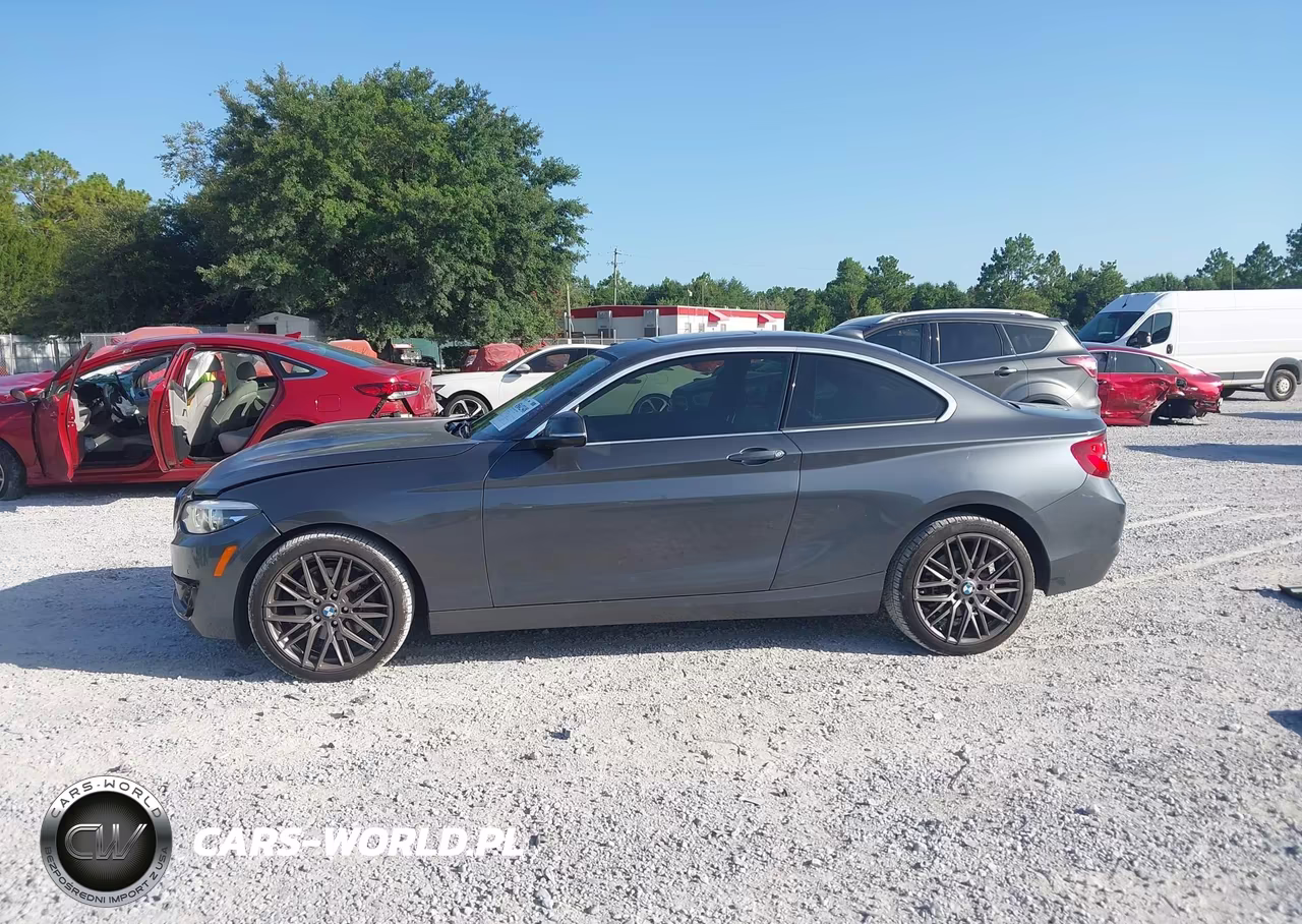 2020 BMW 230I xDrive VIN:WBA2J3C06L7D95526 - 14