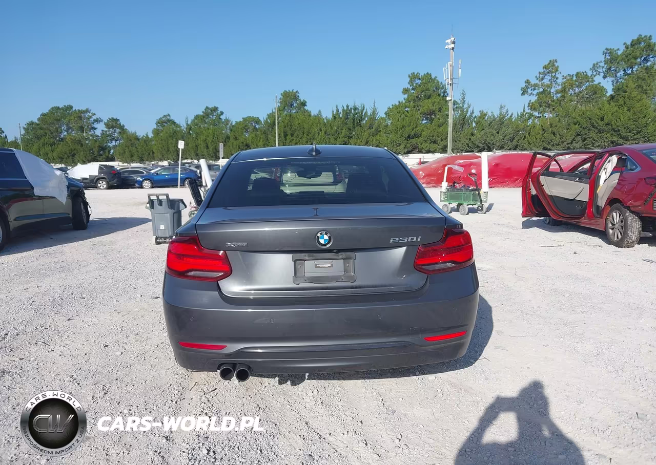 2020 BMW 230I xDrive VIN:WBA2J3C06L7D95526 - 16