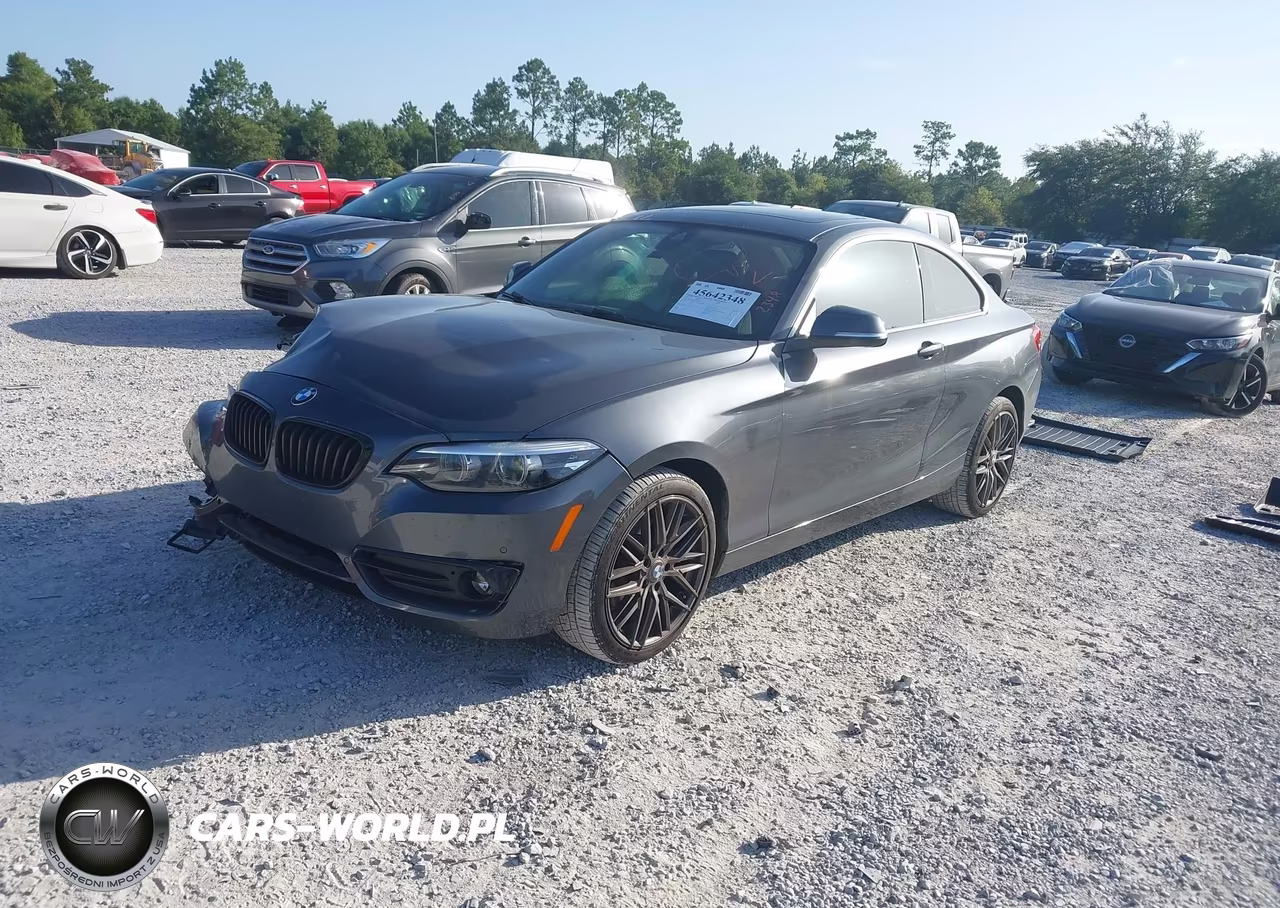 2020 BMW 230I xDrive VIN:WBA2J3C06L7D95526 - 2