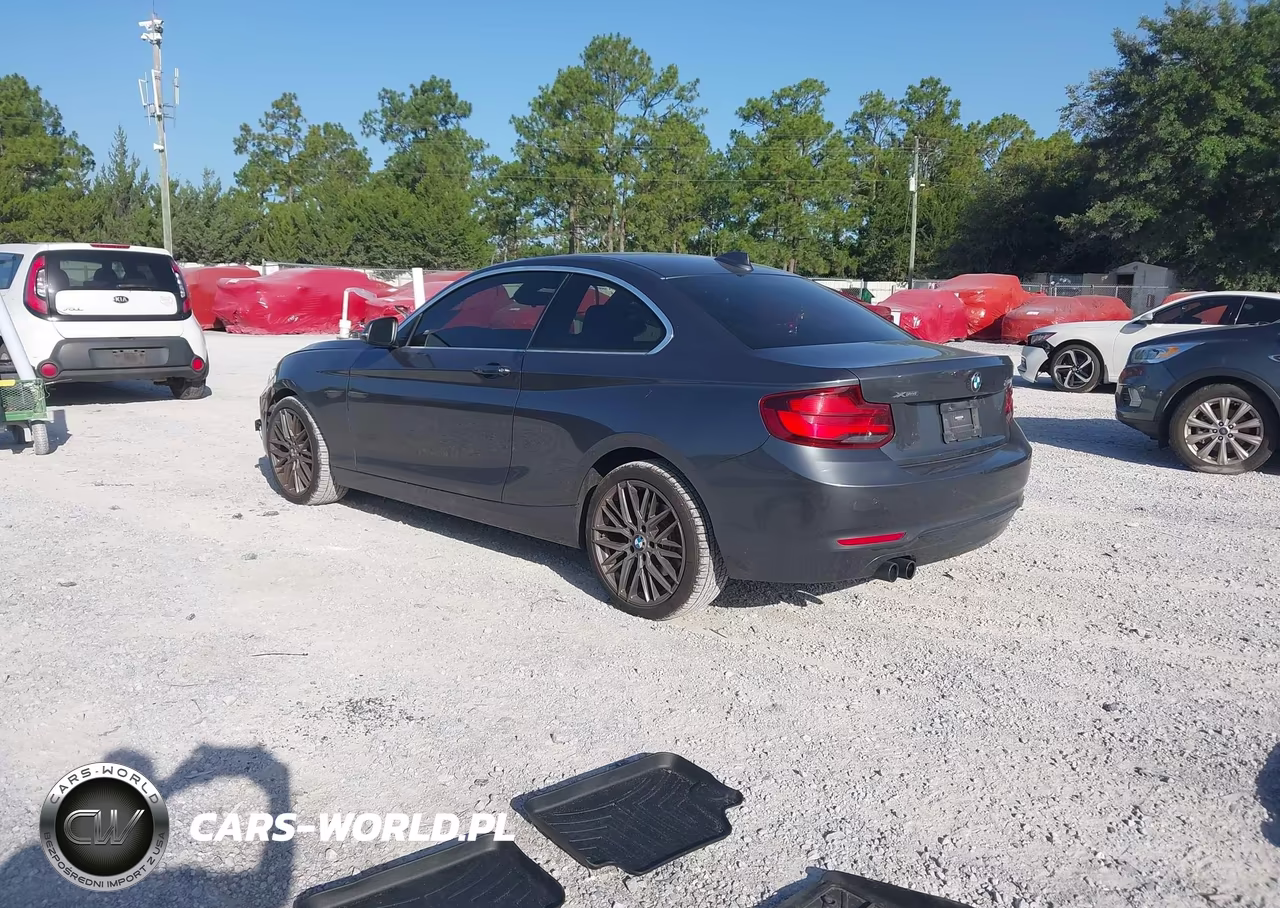 2020 BMW 230I xDrive VIN:WBA2J3C06L7D95526 - 3
