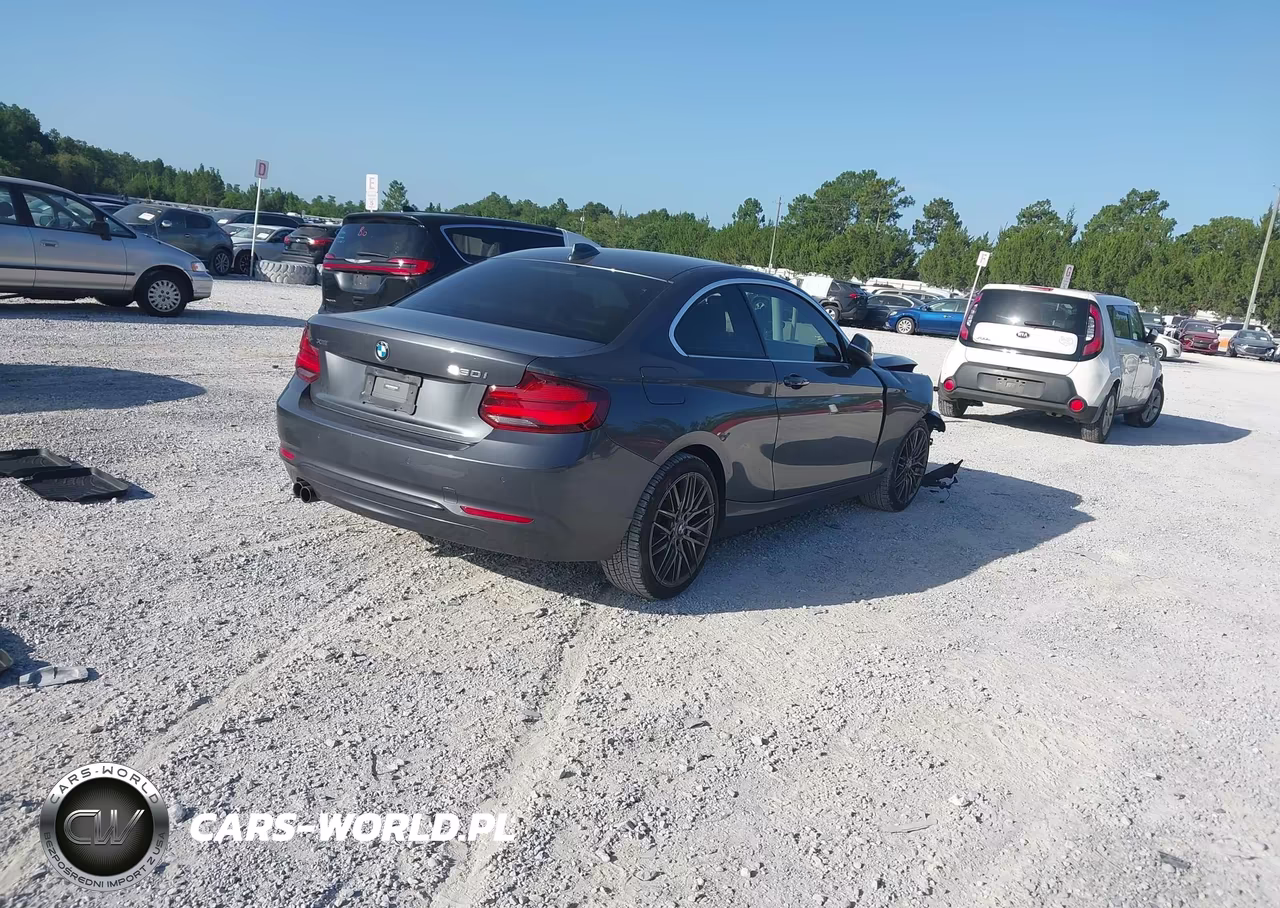2020 BMW 230I xDrive VIN:WBA2J3C06L7D95526 - 4
