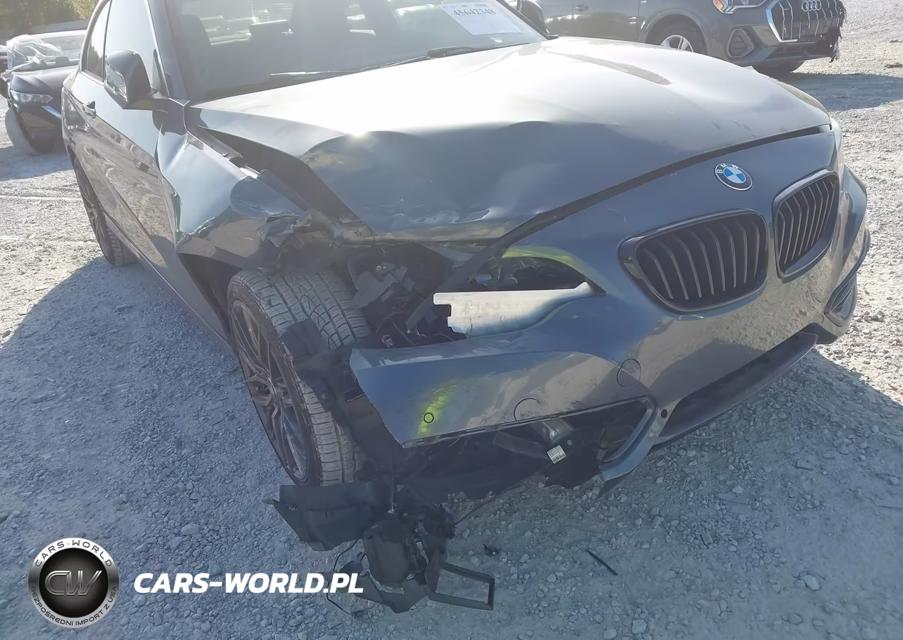 2020 BMW 230I xDrive VIN:WBA2J3C06L7D95526 - 6