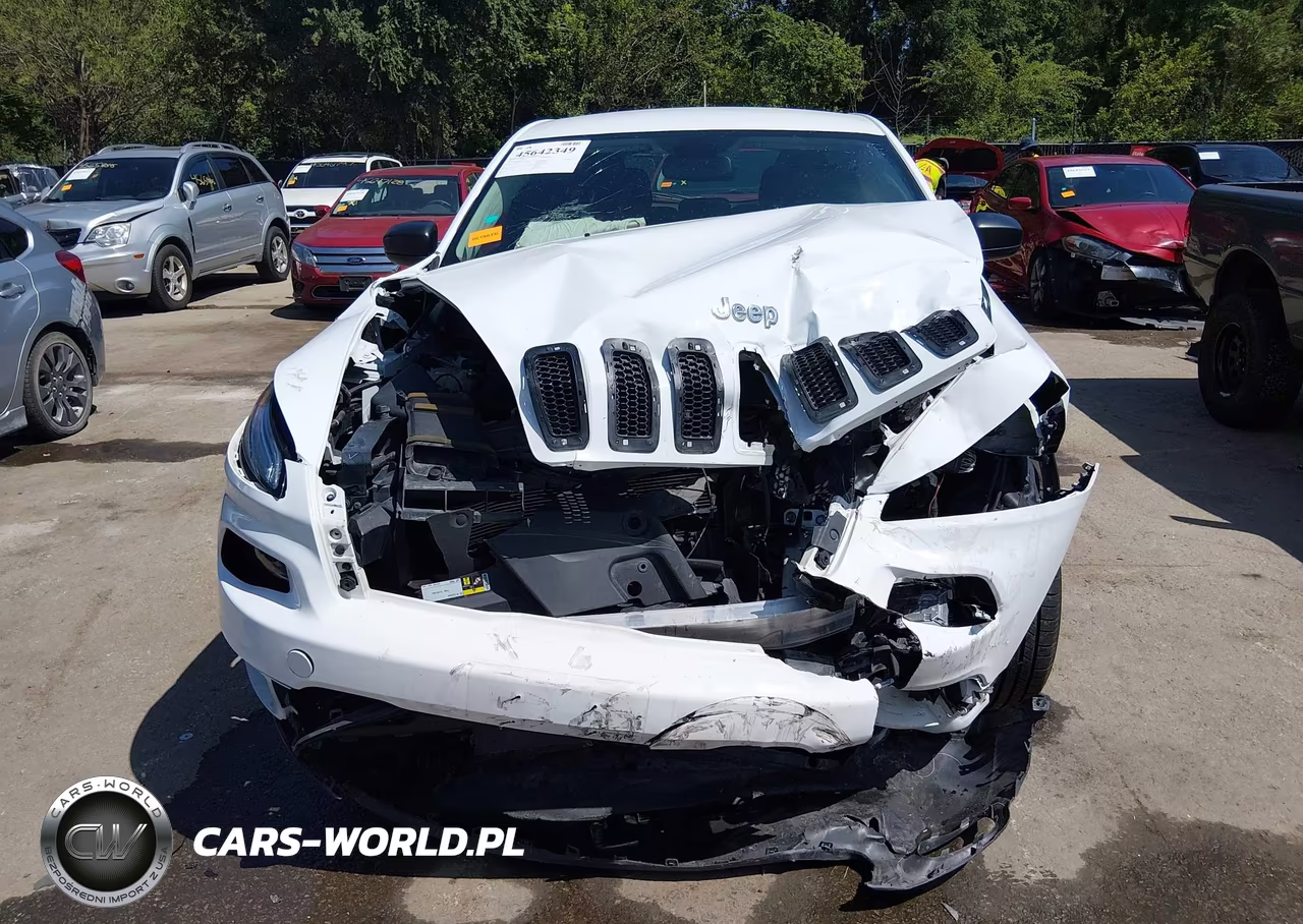 2014 Jeep Cherokee Sport VIN:1C4PJMAB3EW145038 - 12