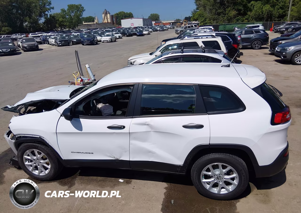 2014 Jeep Cherokee Sport VIN:1C4PJMAB3EW145038 - 14