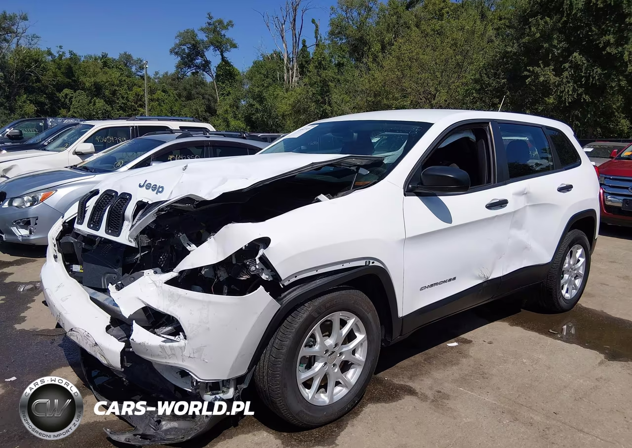 2014 Jeep Cherokee Sport VIN:1C4PJMAB3EW145038 - 2