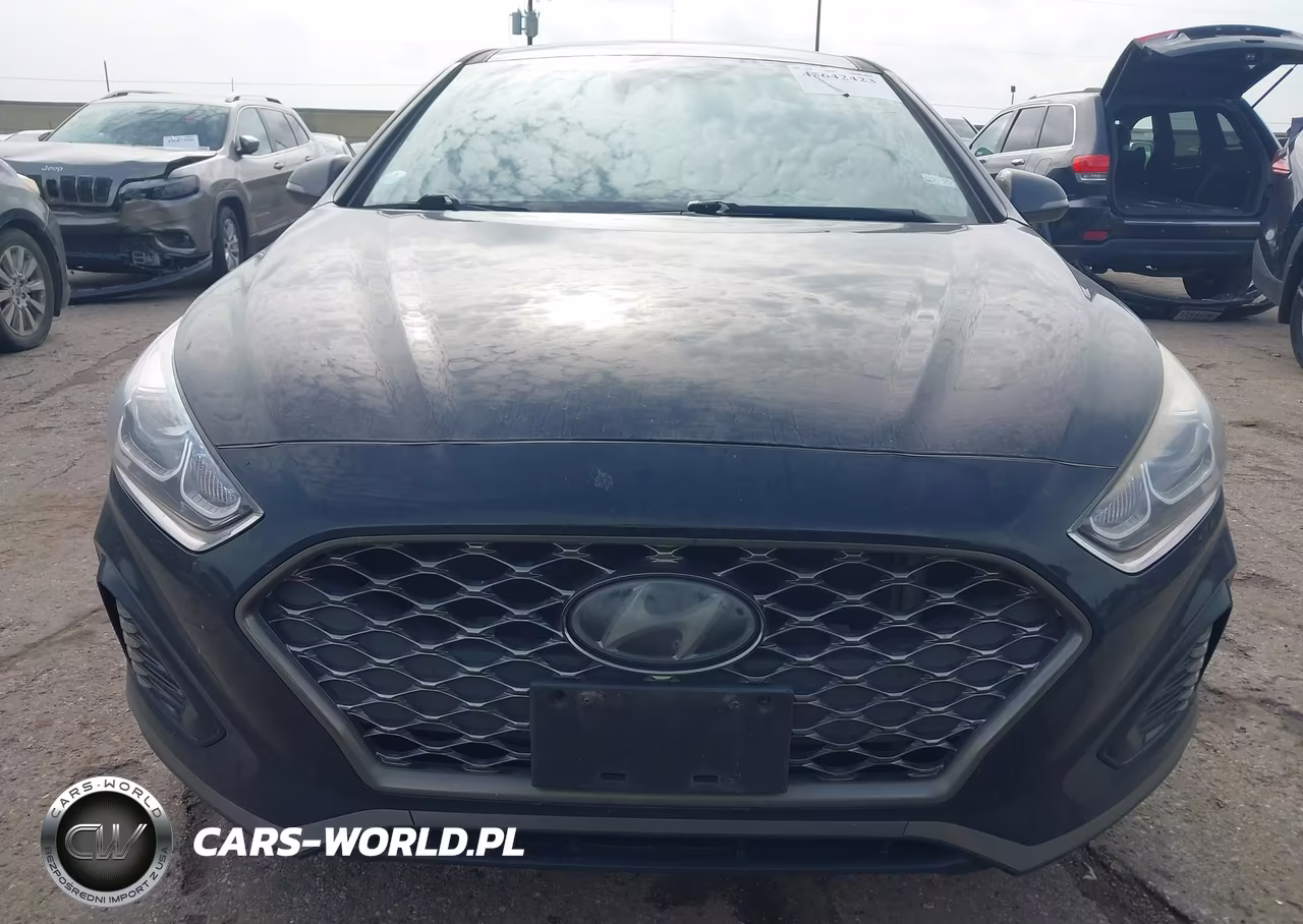 2019 Hyundai Sonata Limited VIN:5NPE34AF1KH730285 - 12